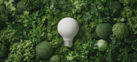 Polska wspiera zielone inwestycje. Nabór na strategiczne projekty niskoemisyjne