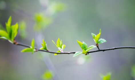 Webinar: Ceny transferowe w pytaniach i odpowiedziach – doświadczenia z sezonu